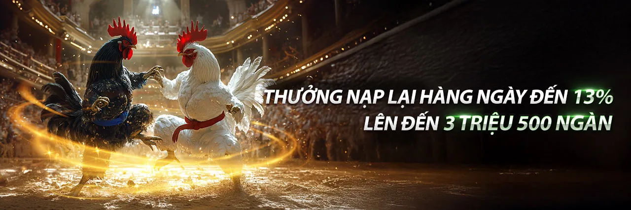 Đá Gà Trực Tiếp C4 An Giang